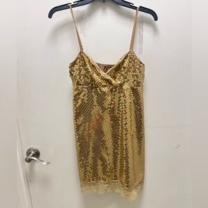 Express Gold Sequin Lace Dress
